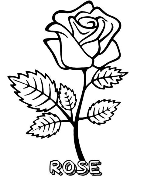 blooming rose coloring page rose coloring pages flower coloring