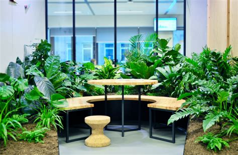 bookingcom bank moss amsterdam green apartment outdoor furniture sets outdoor decor
