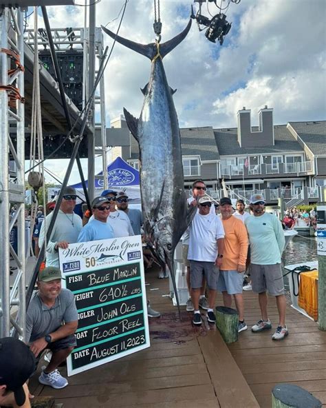 white marlin open winners fishing reports news charters