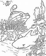 Unterwasserwelt Ausmalbilder Ausdrucken Malvorlagen Malen Kleine Unterwasser Zahlen Dekoking Mycoloring Grundschule Krebs Besuchen sketch template