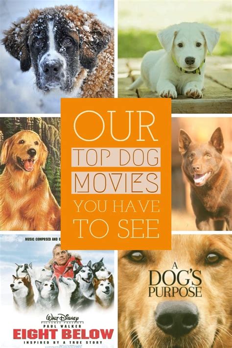 top  dog movies   time   personal fav  trailers