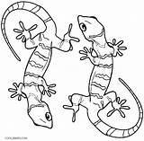 Gecko Eidechse Ausmalbild Lagartija Geckos Cool2bkids Lagarto Getcolorings Ausdrucken Animal Malvorlagen Bestcoloringpagesforkids Effortfulg Shimmer Getdrawings sketch template