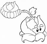 Coloring4free Cattail Coloringtop sketch template