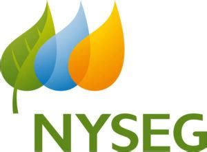 nyseg urged  reduce outages upgrade infrastructure  sullivan