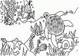 Oceano Peixinho Nadando Tartaruga Forest Tudodesenhos Kidsplaycolor sketch template
