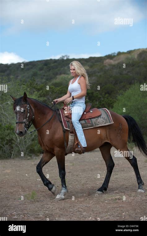 Attraktive Blonde Frau Reiten Auf Dem Pferd Stockfotografie Alamy