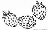 Fraise Coloring Colorat Fresas Frutta Groente Disegni Fragole Fruchte Strawberries Capsuni Kleurplaten Ausmalbild Kleurplaat Planse Strawberries1 Fraser Frutas Marron Obst sketch template