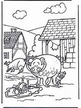 Schweine Bauernhoftiere Ausmalbilder Cochons Haus Jetztmalen Maiali Ferme Coloriage Varkens Kuh Cerdo Tiere Pig Pubblicità Huis Boerderijdieren Advertentie Anzeige Publicité sketch template