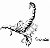 Scorpion Drawing Cartoon Tattoo Draw Drawings Scorpions Designs Line Deviantart Colouring Clip Coloring Clipartmag Tatoo Clipart Stats Downloads sketch template