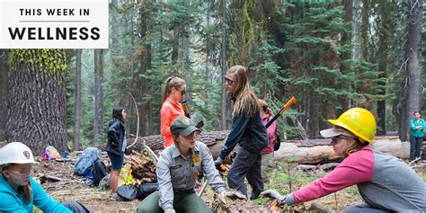 Girl Scouts Add New Badges For Stem And Outdoor Activities Self