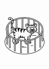 Tiger Cage Jaula Para Colorear Tigre Dibujo Coloring Grandes Dibujos Pages Imprimir Descargar Imágenes Edupics sketch template