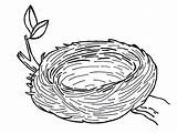 Nest Coloring Bird Pages Empty Color Colouring Drawing Clipart Warm Template Safe Sketch Eggs Getdrawings Crafts Templates sketch template