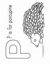 Porcupine Printables sketch template