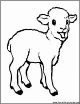 Coloring Pages Animals Baby Lamb Sheep Print Printable Kids Farm Animal Color Cartoon Colouring Cute Clip Children Clipart Template Clifford sketch template