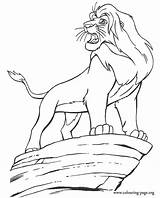 King Simba Coloring Lion Become Colouring Para Pages Mufasa Scar sketch template