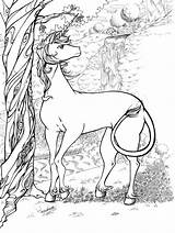 Coloring Pages Unicorn Realistic Library Colouring sketch template
