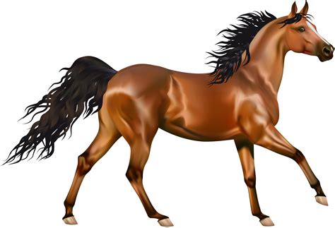 horse equestrian clip art clipartiki clipartingcom