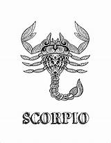Scorpio Zentangle Coloringbay sketch template