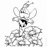Willy Maya Bee Coloring Pages Xcolorings 500px 43k Resolution Info Type  Size sketch template