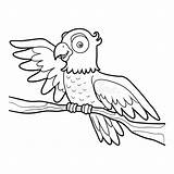 Parrot Drawing Coloring Line Book Children Clipartmag Colour Preview sketch template