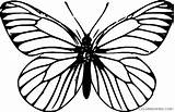 Butterfly Outline Coloring4free Coloring Printable Pages Related Posts sketch template