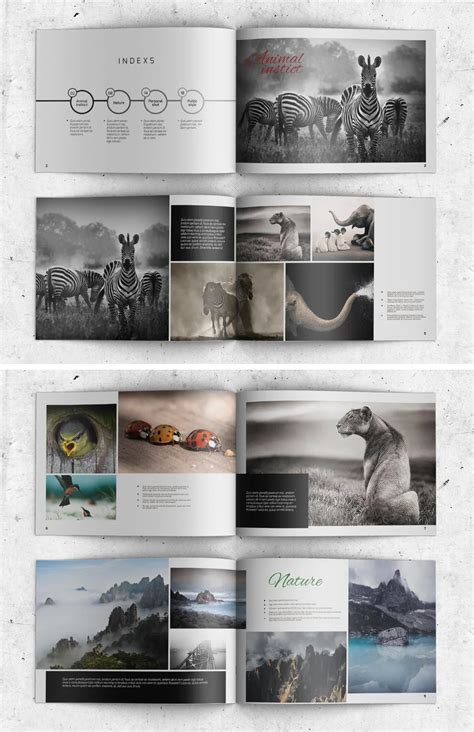 Photography Album Template Indesign Indd Photobook Design Book