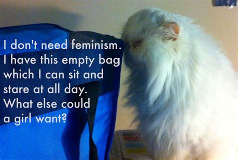 We Chat With The Founder Of Tumblr Hit “confused Cats Against Feminism