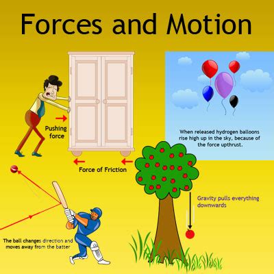 forces  motion forces  kids physical processes  kids