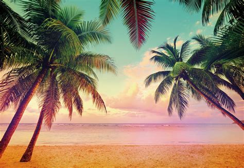 fototapete miami  beach strand palmen florida sonnenuntergang hdr karibik ebay