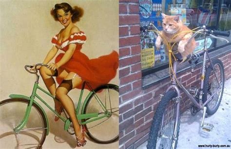 Cats That Look Like Pin Up Girls 24 Pics