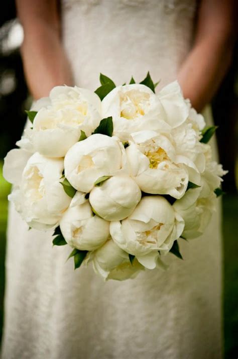 white peony bouquets