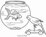 Parakeet Goldfish sketch template