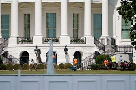 white house lawn   worth  repairs  donald trumps