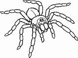 Aranha Aranhas Caranguejeira Araña Insects Tarantula Pollito Cliparts Arana Quia Arañas Desierto Qdb sketch template