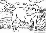 Coloring Pages Lab Heaven Labrador Retriever Getcolorings Chocolate Printable Color Dogs sketch template