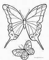 Butterfly Butterflies Coloring Printables Pages Printable Choose Board Drawing sketch template