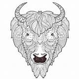 Coloring Bison Pages Head Doodle Animals Skull Advanced Sheets Board Drawing Dog Getdrawings Face Animal Kidspressmagazine Choose sketch template