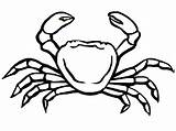 Crabe Cangrejo Crab Coloriages Cangrejos Colorier Printable Oceano Ko Tableau sketch template