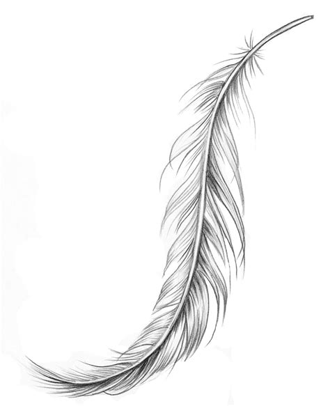Feather Feather Tattoo Design Feather Tattoos Eagle Feather Tattoos