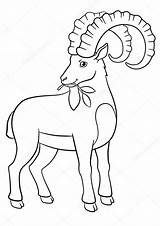 Ibex Bouquetin Steinbock Horns Coloration Grands Mignon Klaxons Ausmalbild Malvorlage sketch template