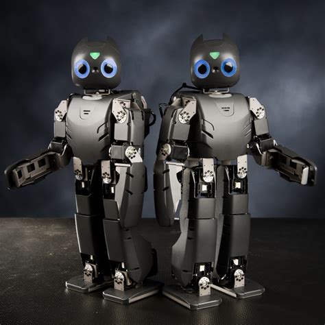 romela darwin op open platform humanoid robot  research  education