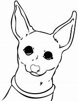 Chihuahua Coloring Pages Dog Lab Drawing Chiwawa Color Line Chihuahuas Printable Dogs Kids Puppy Print Clipart Cute Getdrawings Curious Library sketch template