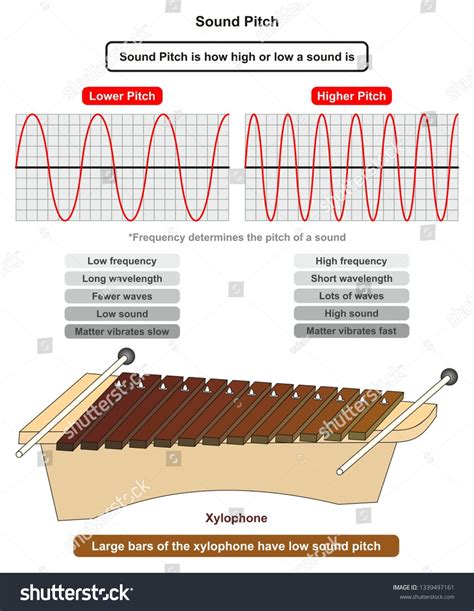 sound pitch infographic diagram showing comparison  high   frequency sou physical