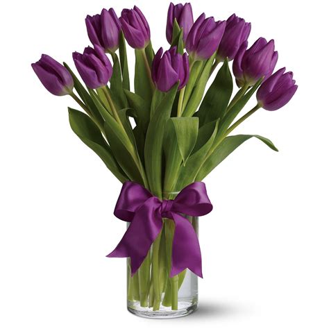 passionate purple tulips la tulipe floral designs