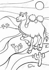 Camel Desierto Desiertos Kamel Wüste Fauna Malvorlagen Continentes Afrika sketch template
