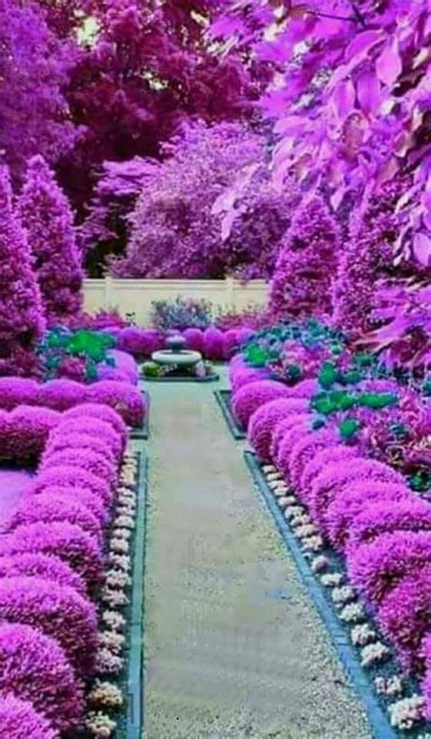 Pin By Cecilia On Belki Bir Gün Maybe One Day Most Beautiful Gardens