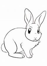 Colorare Disegni Conigli Coelho Coniglio Pianetabambini Coniglietto Disegnare Animali Copiar Desenhar Coelhinho Outline sketch template