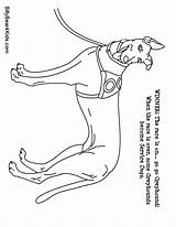Coloring Pages Dog Dane Great Shepherd German Popular Library sketch template