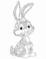 Hase Malseite Loading sketch template