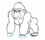 Gorilla Drawing Draw Cartoon Clipart Easy Line Poop Step High Webstockreview Pngitem Easydrawingguides sketch template